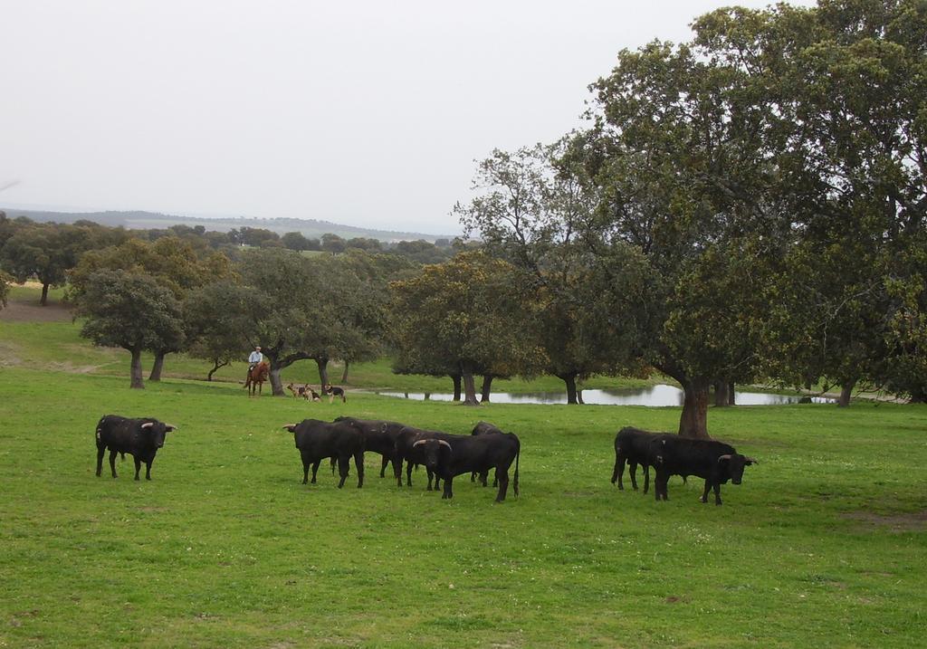 Vitigudino Casa Rural Antonio מראה חיצוני תמונה